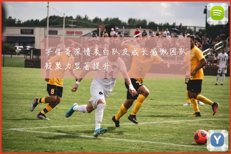 字母哥深情表白队友成长感慨团队凝聚力显著提升